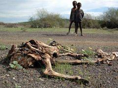 Děti v Ethiopii jsou ohroženy smrtí žízní. Dešťové srážky přišly příliš pozdě na to, aby obnovily zdevastovanou krajinu z půl roku trvajícího sucha ve východní Africe. Bez nepřetržité pomoci by zde zemřely tisíce dětí týdně na následky sucha REUTERS/Andrew Heavens