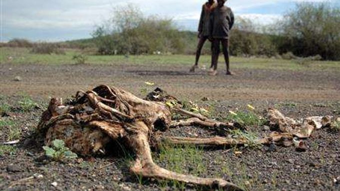 V uplynulých desetiletích zemřely kvůli suchu statisíce lidí. Kolik jich přežije megasucha?