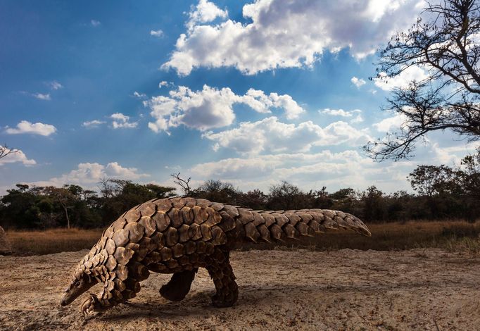 Finalisté Sony World Photography Awards 2020 - příroda a krajina