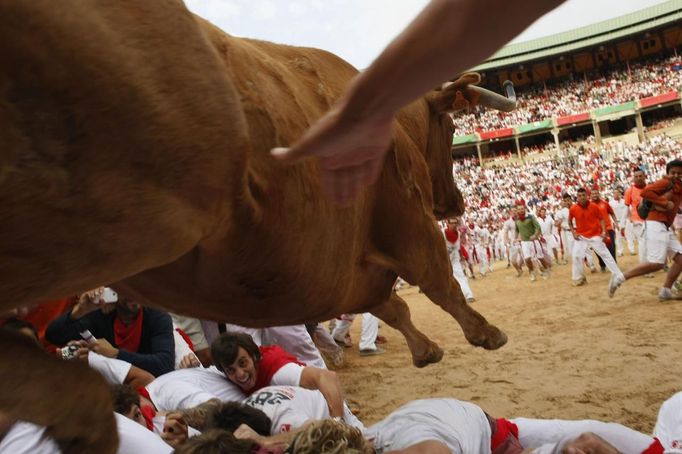 A fighting cow leaps over bull runners in the Plaza de Toros following the first running of the bulls of the San Fermin festival in Pamplona July 7, 2012. After the bull run, runners remain in the bullring and small fighting cows are released. REUTERS/Joseba Etxaburu (SPAIN - Tags: SOCIETY ANIMALS) Published: Čec. 7, 2012, 9:25 dop.