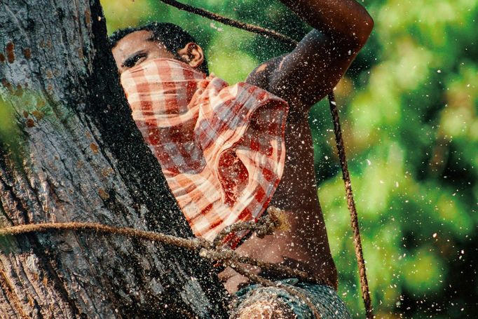 Travel Photographer of the Year 2018 - nelze použít na soc. sítích