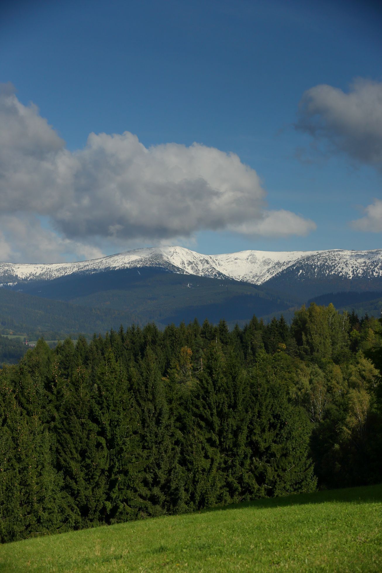 Poniklá Stromovice Krkonoše