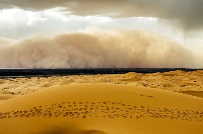 Trekkers Caught In Sandstorm - (Pictured is the sandstorm rising) These unbelievable pictures capture the moment camel trekkers are caught in a sandstorm while crossing the Erg Chebbi Desert. They were taken by photographer, Peter Vruggink, while he was on holiday with his family in Morocco in April. The huge wall of sand which can be seen in the distance coming over the land looks like something that would only be seen in a film.