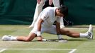 Djokovič vs. Del Potro, semifinále Wimbledonu 2013.