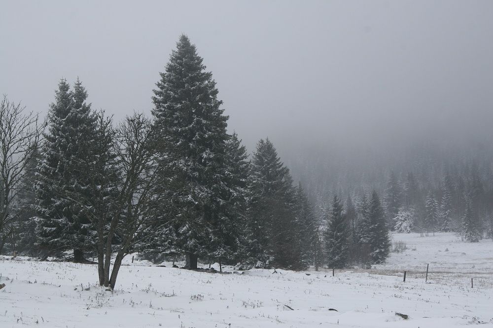 Sníh na Šumavě