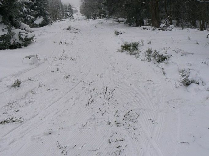 Na státní hranici, kde leží i česká Národní přírodní památka Bukačka, udržovali Poláci lyžařskou trasu mezi horními stanicemi lanovek rolbou