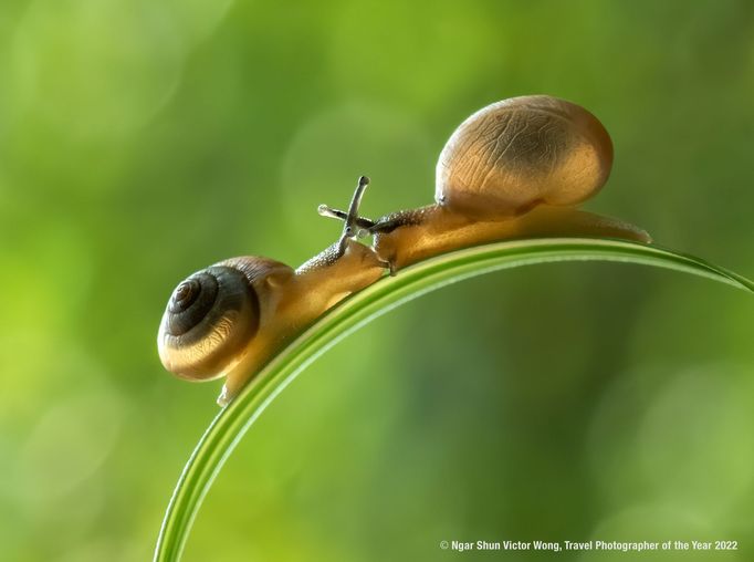 Fotografie oceněné na mezinárodní soutěži Travel Photographer of the Year 2022