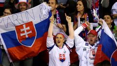 Slovenští fanoušci v zápase Slovensko - Francie na MS 2019