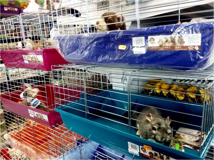 Pet Shop 2019 mazlíčci 5 ZOO Zóna v Brně
