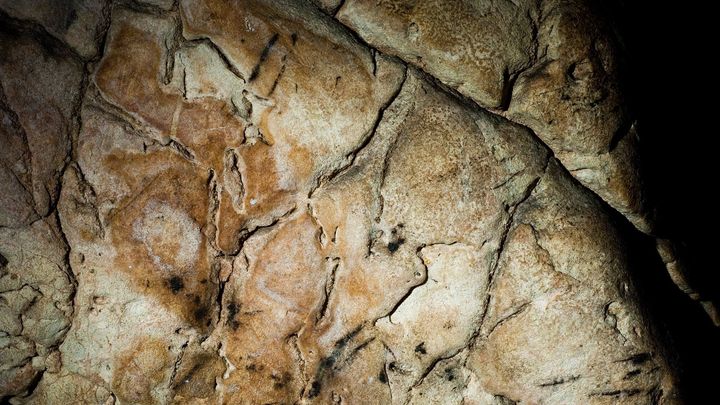 Černé čáry na povrchu podobném mozku. Nejstarší české kresbě je 7000 let