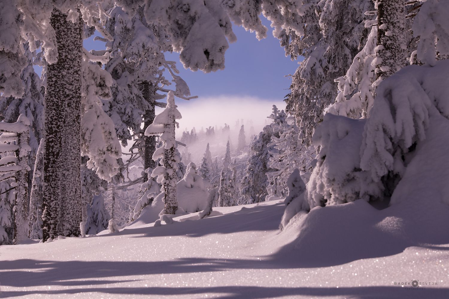 Radek Severa - zimní Jeseníky