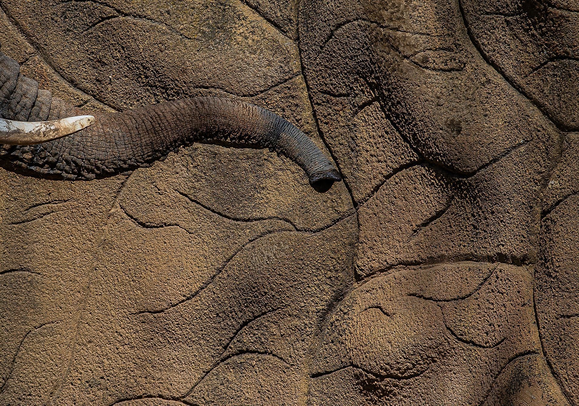 Nominace na Czech Nature Photo 2021