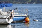 Rozruch kolem Mondsee. Češi ho milují, ale nová dědička mění pravidla hry