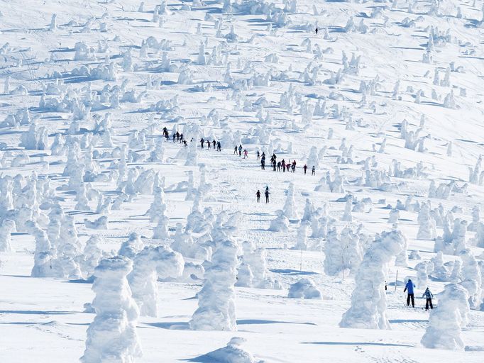 Fotogalerie: Tomáš Vocelka – TOP fotografie za rok 2019