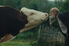 Raději zešílet v divočině? Vítěz z Varů kolísá mezi kýčem a podnětnou poťouchlostí