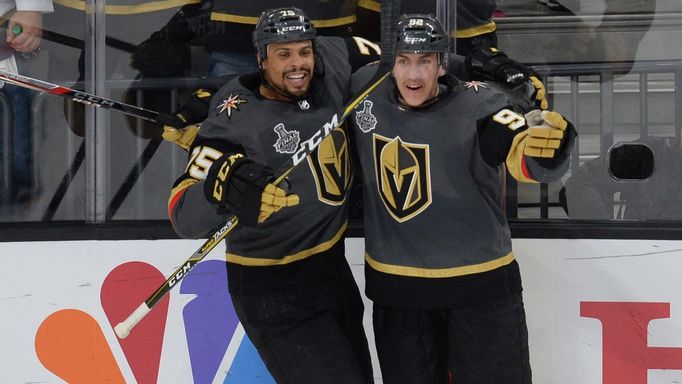 hokej, NHL 2017/2018, Vegas - Washington, Tomáš Nosek (vpravo) a Ryan Reaves