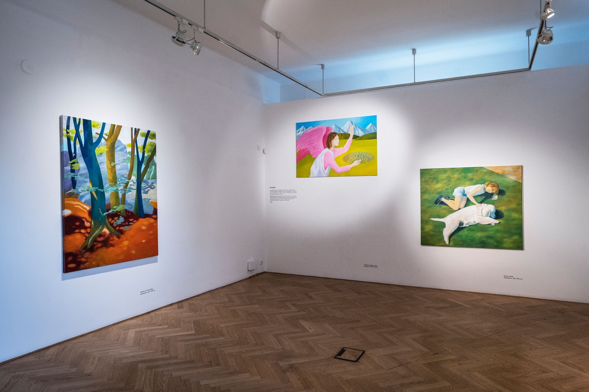 Zdena Šafka, Galerie Villa Pellé, 2023