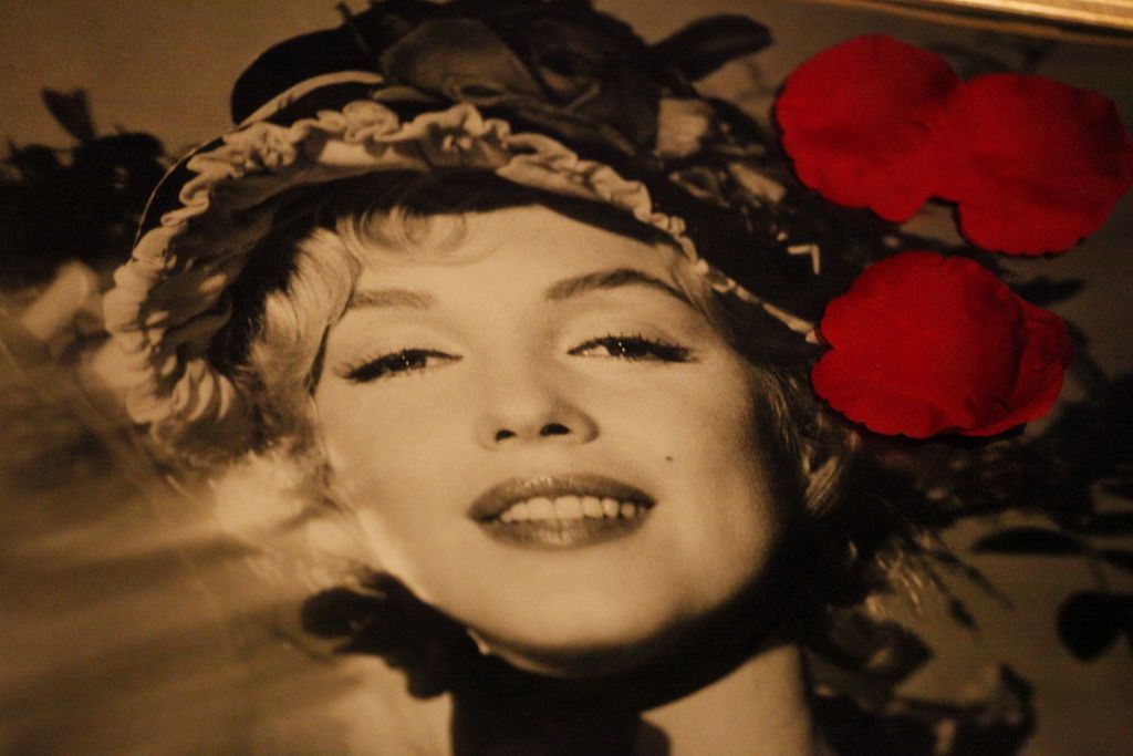 Výstava Marilyn Monroe