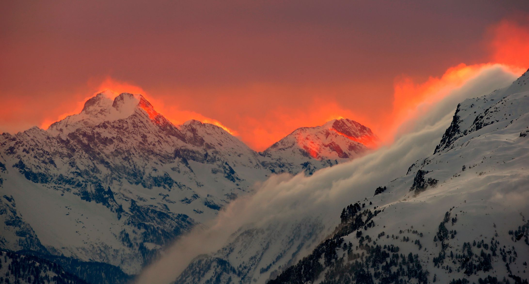 Charitativní aukce fotografií Reuters
