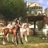 Horsez