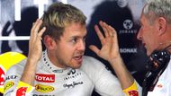 Hlavní otázkou roku 2014 je samozřejmě to, jestli si Sebastian Vettel a Red Bull udrží ve formuli 1 pátý rok po sobě neporazitelnost.