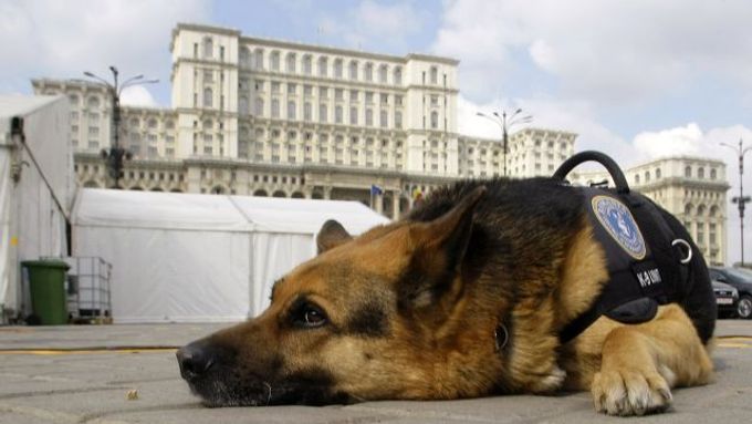 Policejní pes hlídkuje před palácem,kde summit ve středu začne.