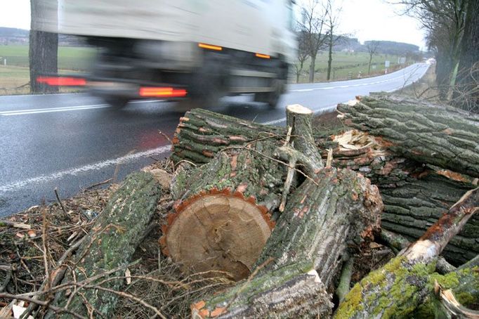 Padlých stromů na silnicích bylo bezpočet. Tento na silnici číslo 4 mezi Prahou a Českými Buďejovicemi stačili hasiči odklidit již před svítáním.