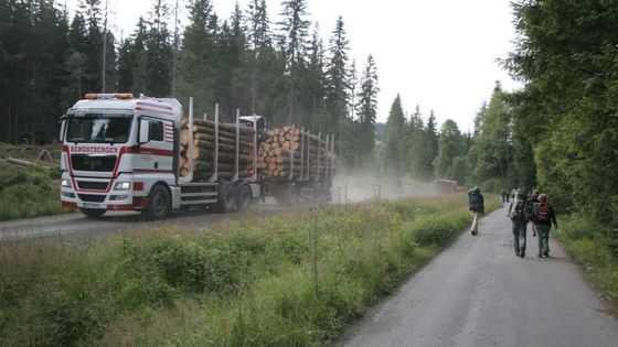 Aktivisté v řetězech na Šumavě odolávají policii