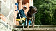 I během slunečného dne tu lidé nosí dlouhé rukávy, je tu pocitově o dost chladněji než například v Liberci.