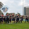 Czech Bowl 2016, Panthers - Lions