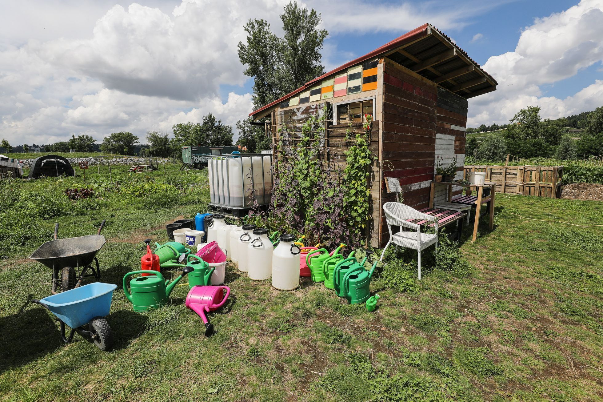 Komunitní zahrady Praha - Metro Farm, Vidimova, komunitní zahrada, pěstování, zahradničení, zahrádkář, zahrádkaření, rostliny