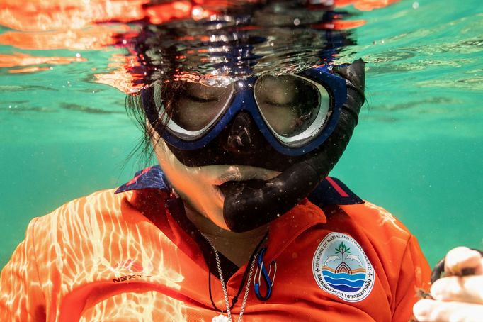 Thajská zátoka Maya Bay, kde turisté pozorují žraloky černoploutvé.