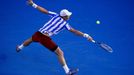 Tomáš Berdych v semifinále Australian Open 2014