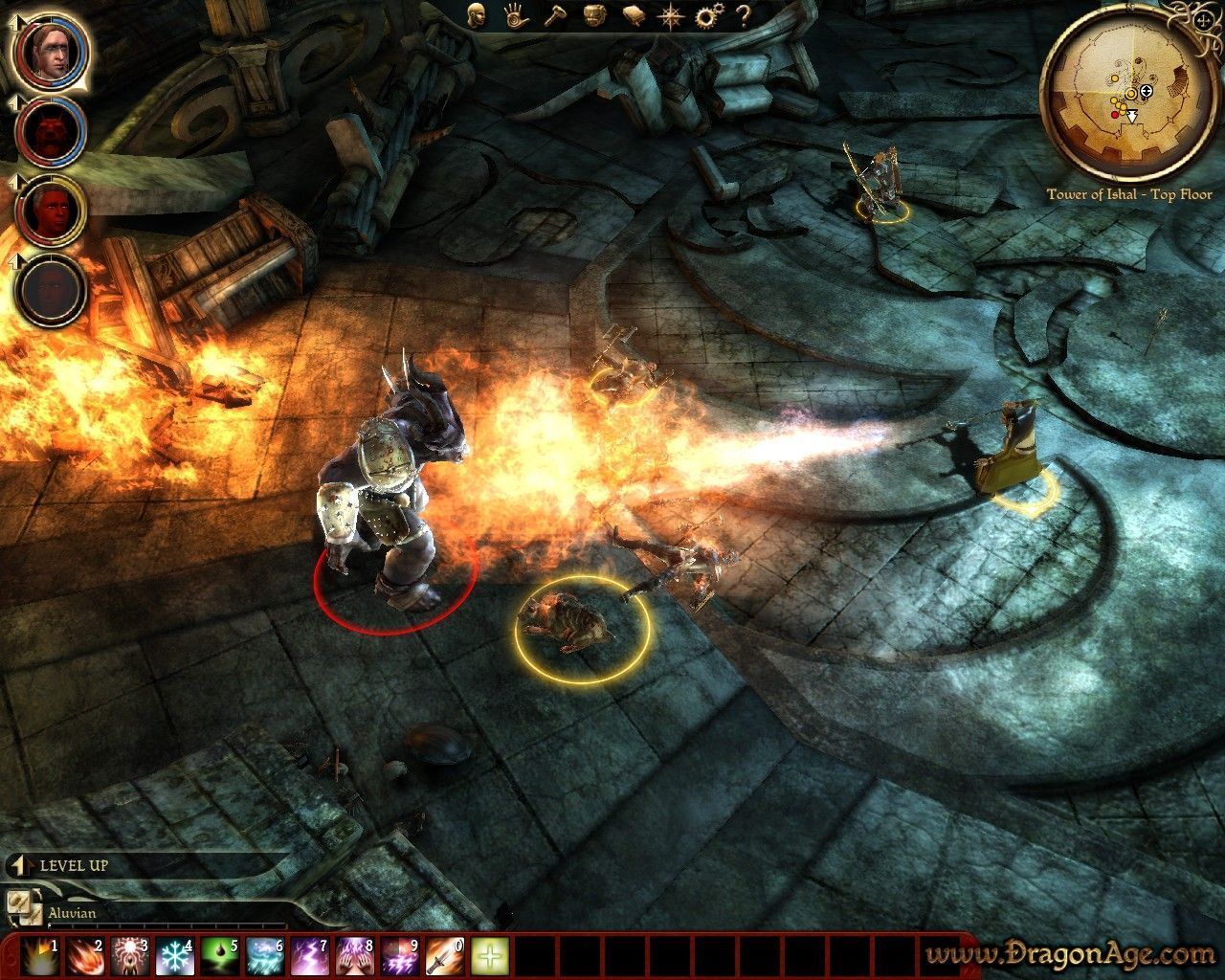 Dragon Age:Origins