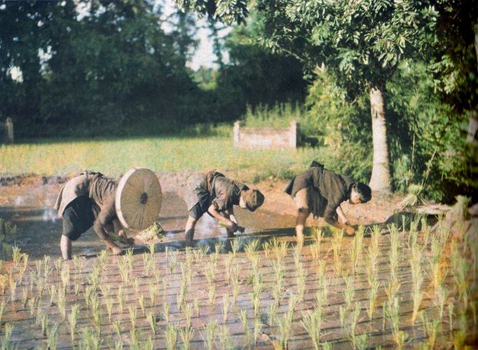 Autochrom  byl raný proces barevné fotografie patentovaný roku 1903 bratry Lumièrovými a komerčně vyráběný v letech 1907 až 1935.