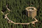 Jedinečné výhledy na lipenskou přehradu nabízí Stezka korunami stromů Lipno. Dřevěný chodník s naučnými aktivitami z oblasti přírodních věd vrcholí věží, která je přístupná i bezbariérově. Zpátky dolů na zem se potom návštěvníci mohou svézt 52 metrů dlouhým tobogánem.