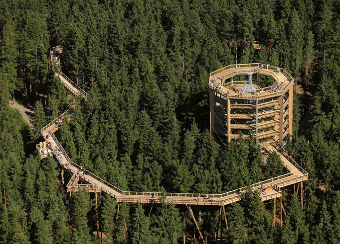 Stezka v korunách stromů, Lipno