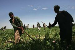 Afghánistán zabavil tuny drog. Musel je ničit bombami