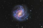Peter Ward, kategorie Galaxie: Spirální galaxie Jižní větrník v souhvězdí Hydry. (Fotografováno přístroji SBIG STX-16803 a QHY 600M, ohnisko 3400 mm, f/8, expozice 5 hodin/H-alpha a 6 hodin/RGB).