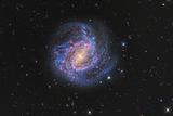 Peter Ward, kategorie Galaxie: Spirální galaxie Jižní větrník v souhvězdí Hydry. (Fotografováno přístroji SBIG STX-16803 a QHY 600M, ohnisko 3400 mm, f/8, expozice 5 hodin/H-alpha a 6 hodin/RGB).