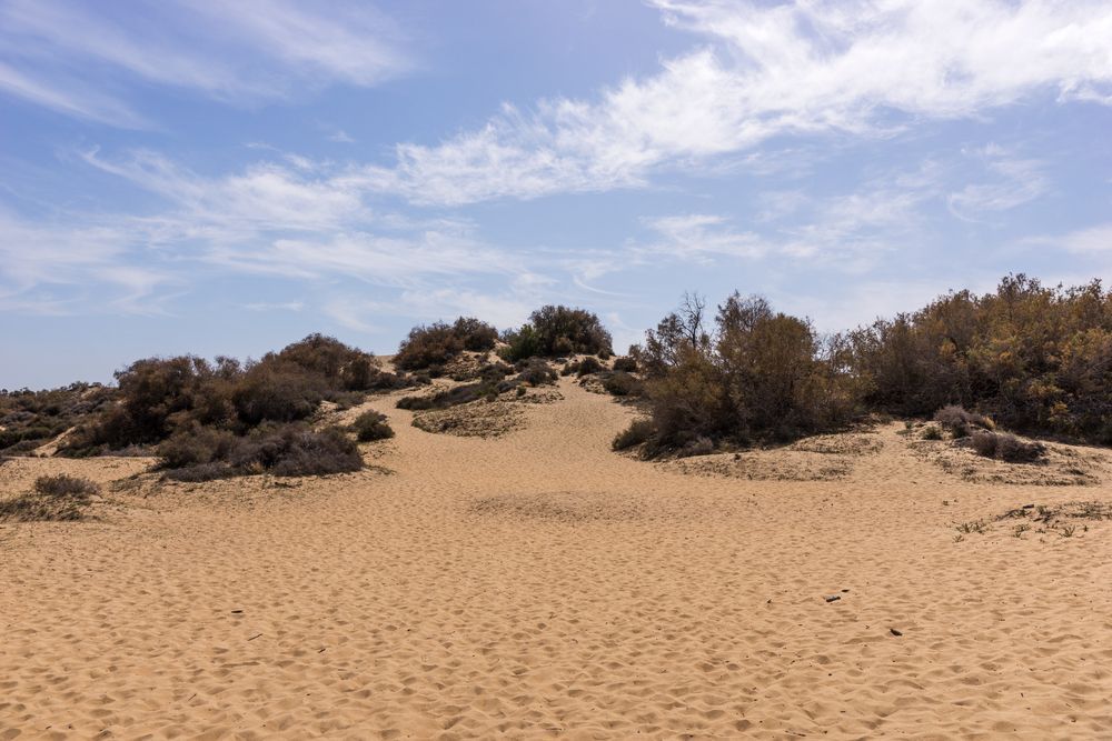 Kanárské ostrovy, písečné duny