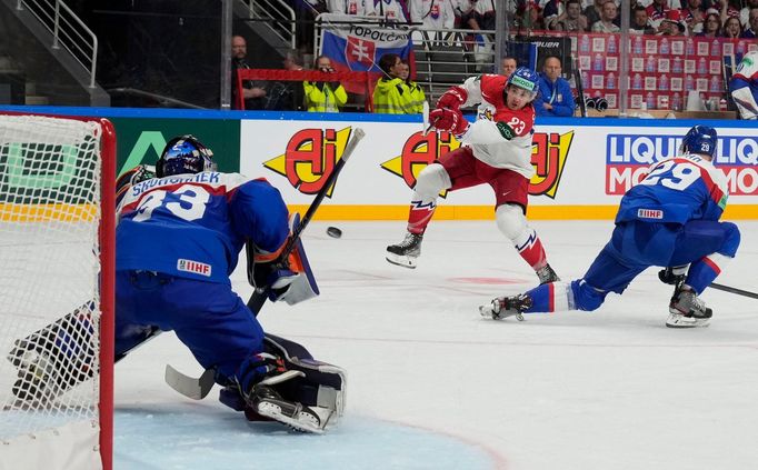 Stanislav Škorvánek a Lukáš Sedlák v zápase Česko - Slovensko na MS 2023