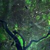 25 let pohledem satelitu Landsat 5