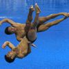 MS v plavání: skoky do vody (muži)