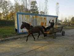 Na rumunském venkově jsou stále k vidění koňské povozy.