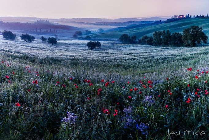 Jan Stria, ukázky z tvorby vítěze soutěže Czech Nature Photo 2019