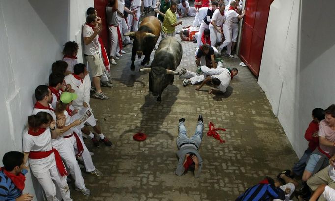 A fallen runner lies in the way of Miura fighting bulls at the entrance to the bullring during the second running of the bulls of the San Fermin festival in Pamplona July 8, 2012. There were no injured runners in the run that lasted two minutes and twenty nine seconds, according to local media. REUTERS/Susana Vera (SPAIN - Tags: ANIMALS SOCIETY) Published: Čec. 8, 2012, 8:29 dop.