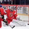Hokej, MS 2013, Česko - Slovinsko: Ondřej Pavelec inkasuje