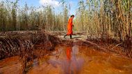 "Nadešel den, kterého se všichni obávali," citovala agentura Reuters guvernéra Louisiany Bobba Jindala.