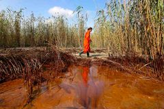 Ropu v Mexickém zálivu likviduje dosud neznámá baktérie